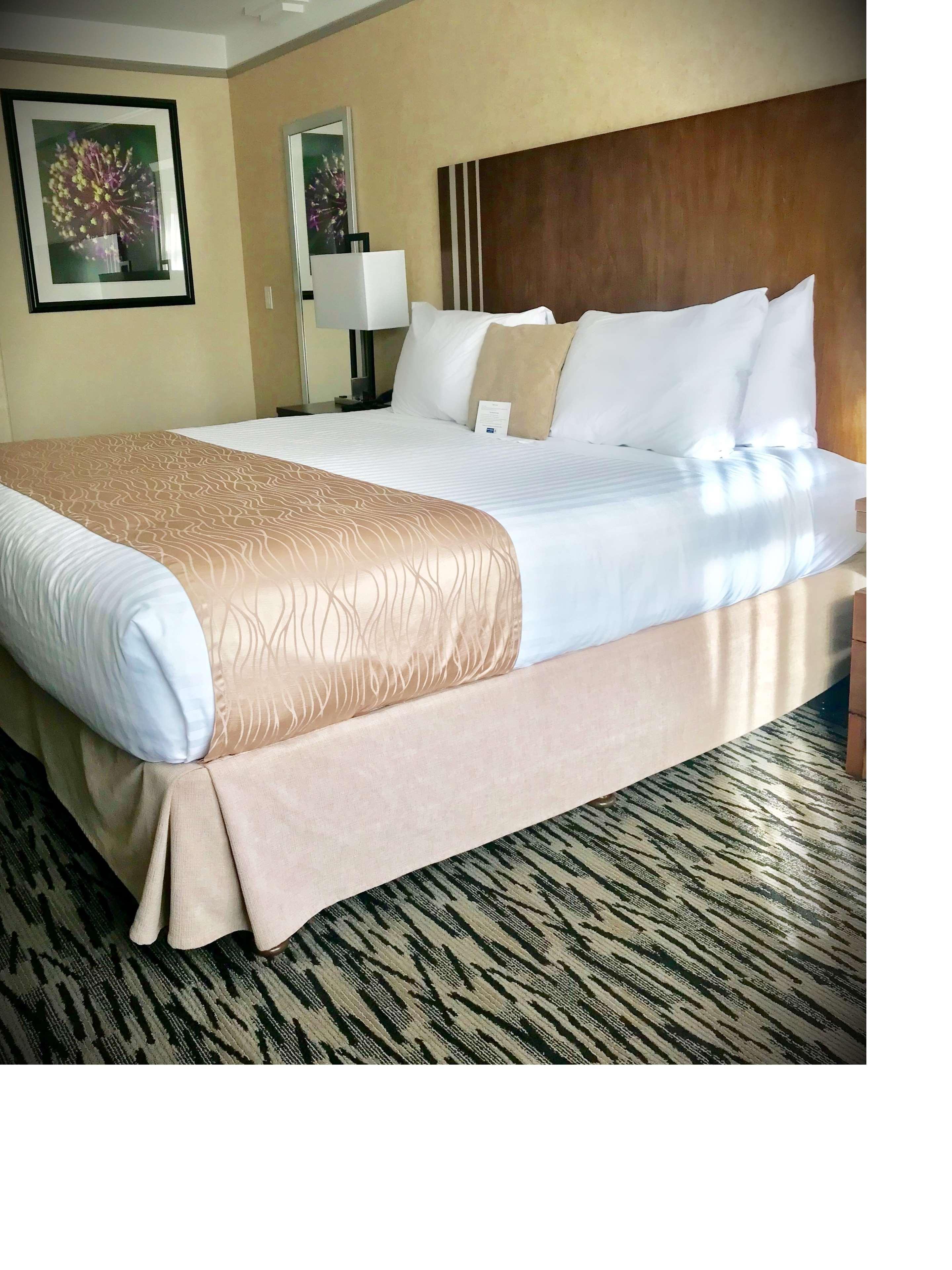 Best Western Plus Pitt Meadows Inn & Suites Buitenkant foto